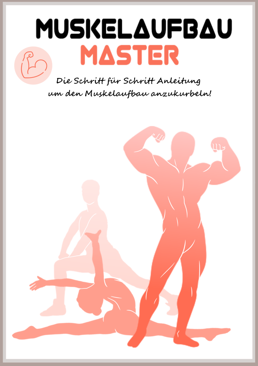 Produktbild Muskelaufbau Master
