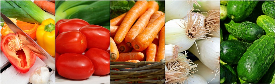 Rote grüne Paprika, Tomaten, Möhren, Gurken sind gut für den Ernährungsplan