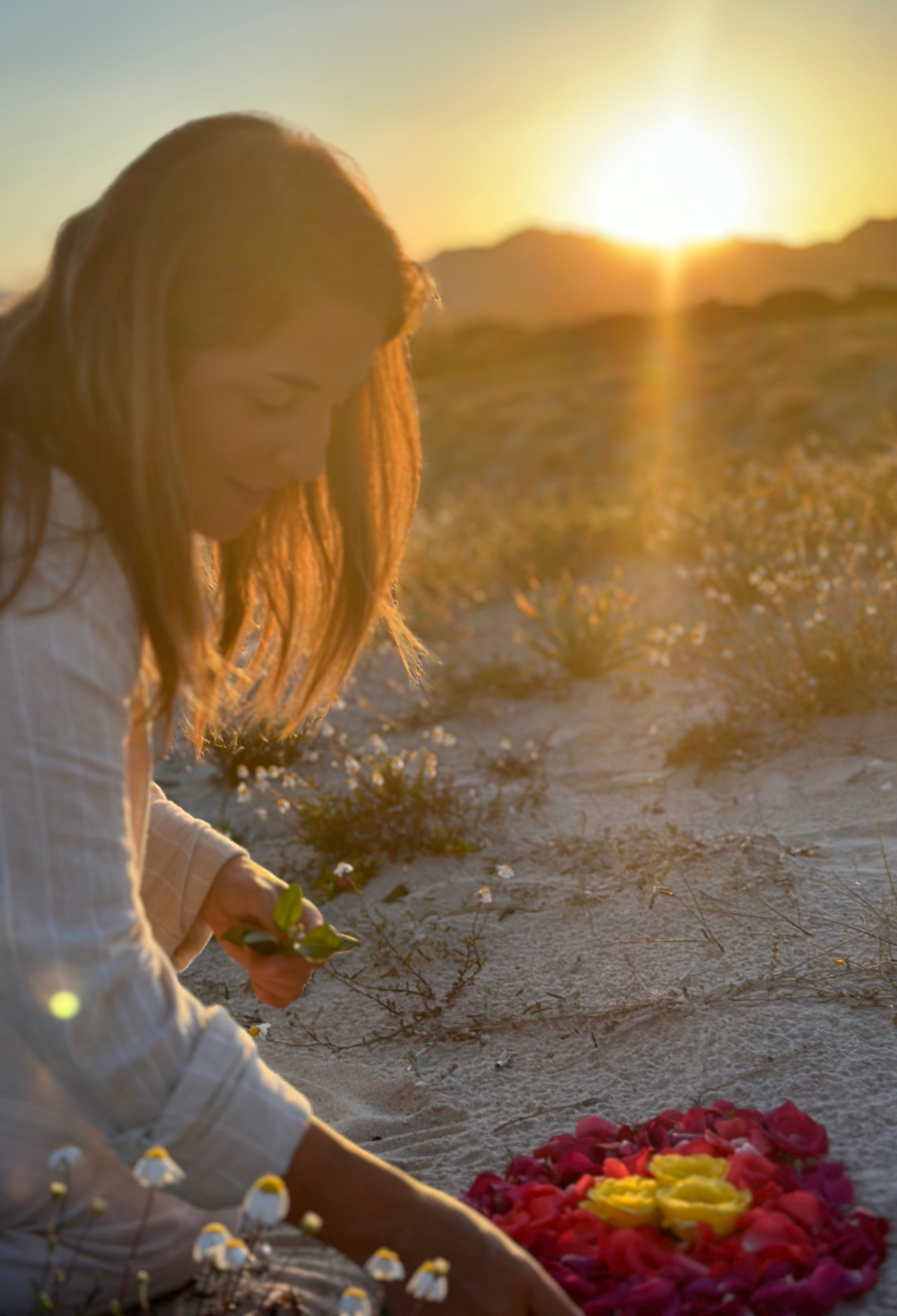 Design ohne Titel (1).png