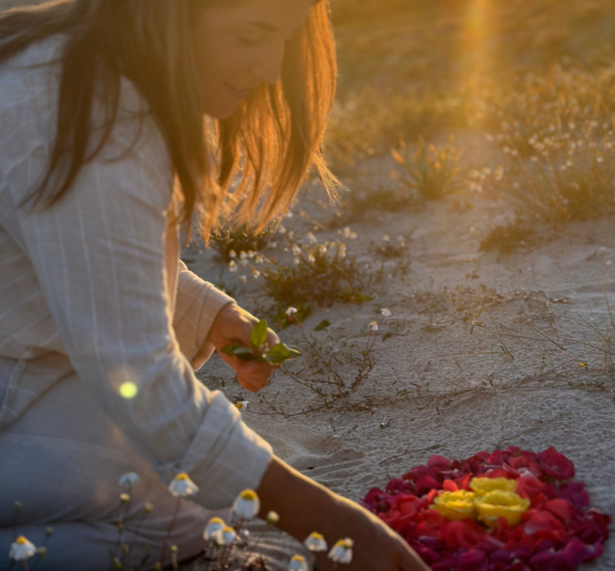 Design ohne Titel (1).png