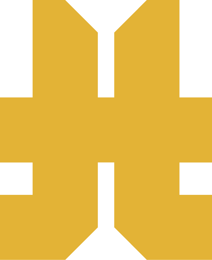 LHL-NEW LOGO-OHNE TEXT-02.png