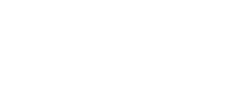 EVW Partner Programm
