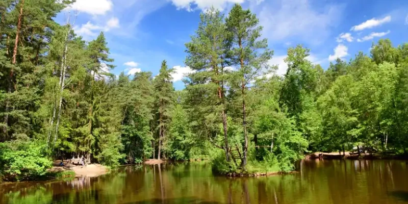 Der Stausee Dresdner Heide: Wie Wassernähe den Immobilienwert beeinflusst