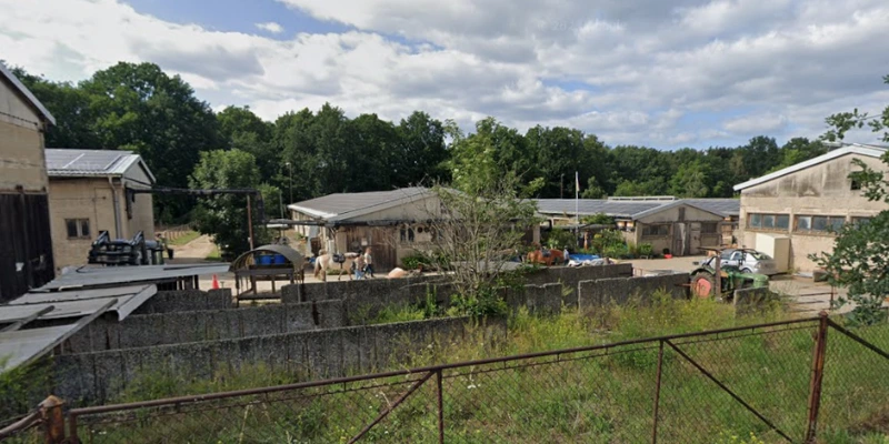 Besondere Immobilien im Fokus: Der Ponyhof Langebrück und die Herausforderungen der Bewertung