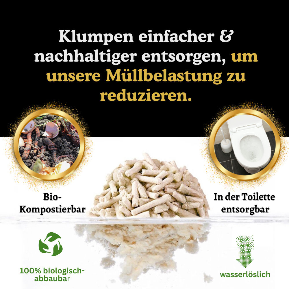 Karussell AD (2).png