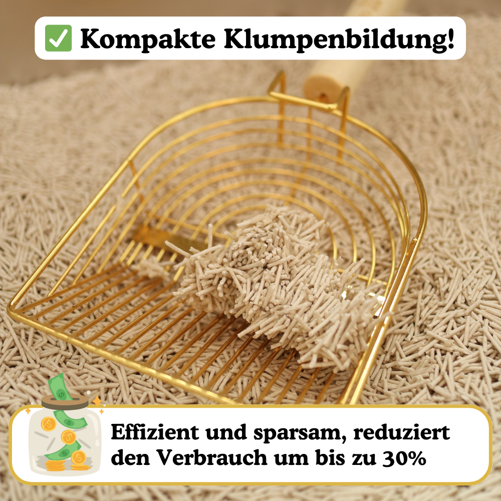 Karussell AD (1).png