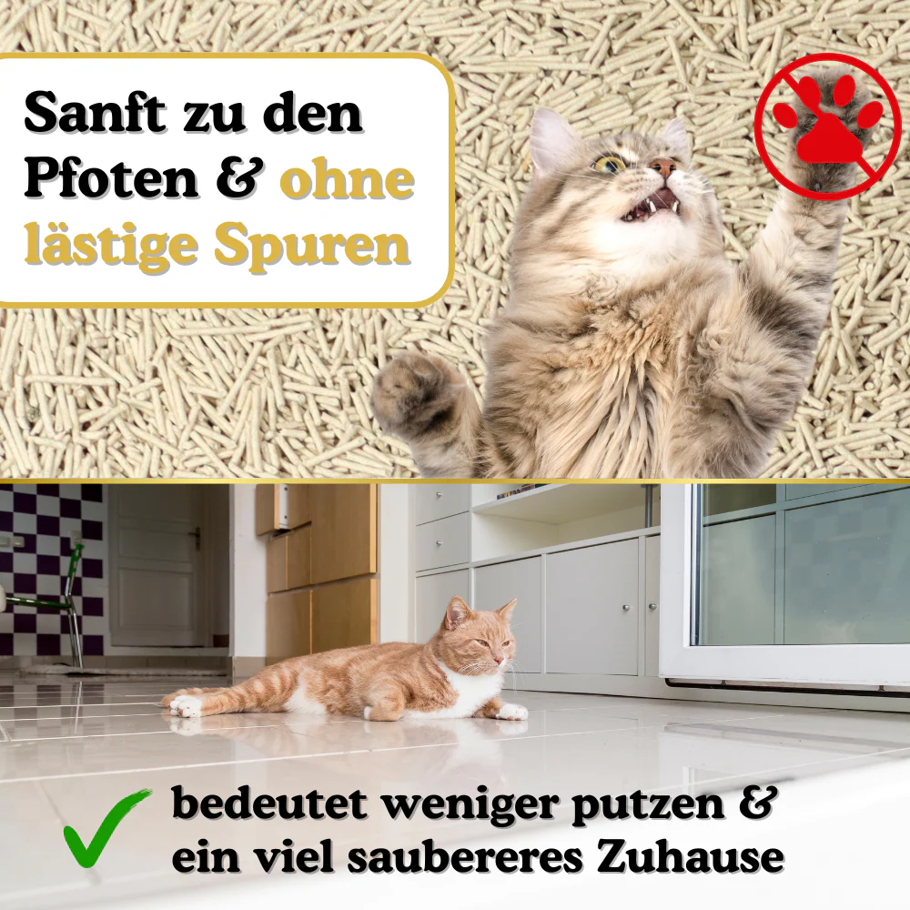 KatzenstreuProdukfotos1_5.webp