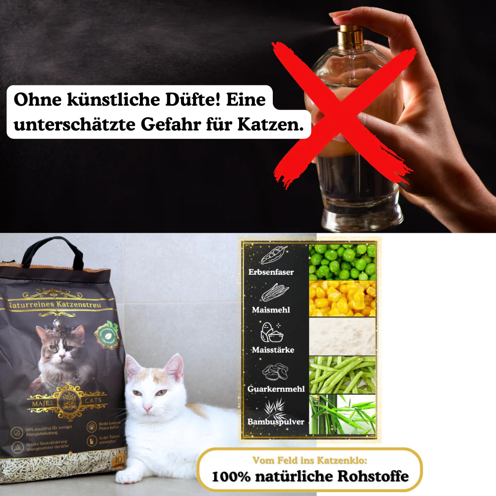 Karussell AD (3).png