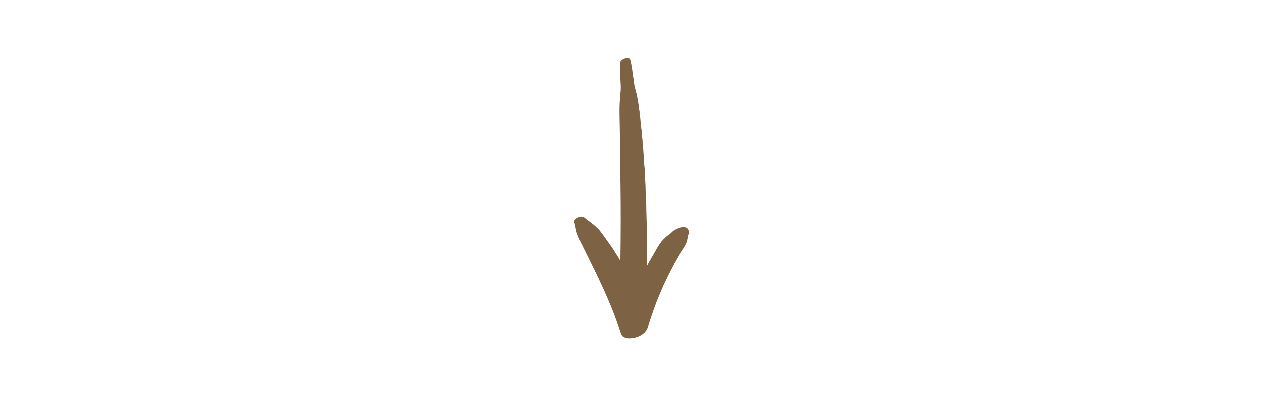 6.png