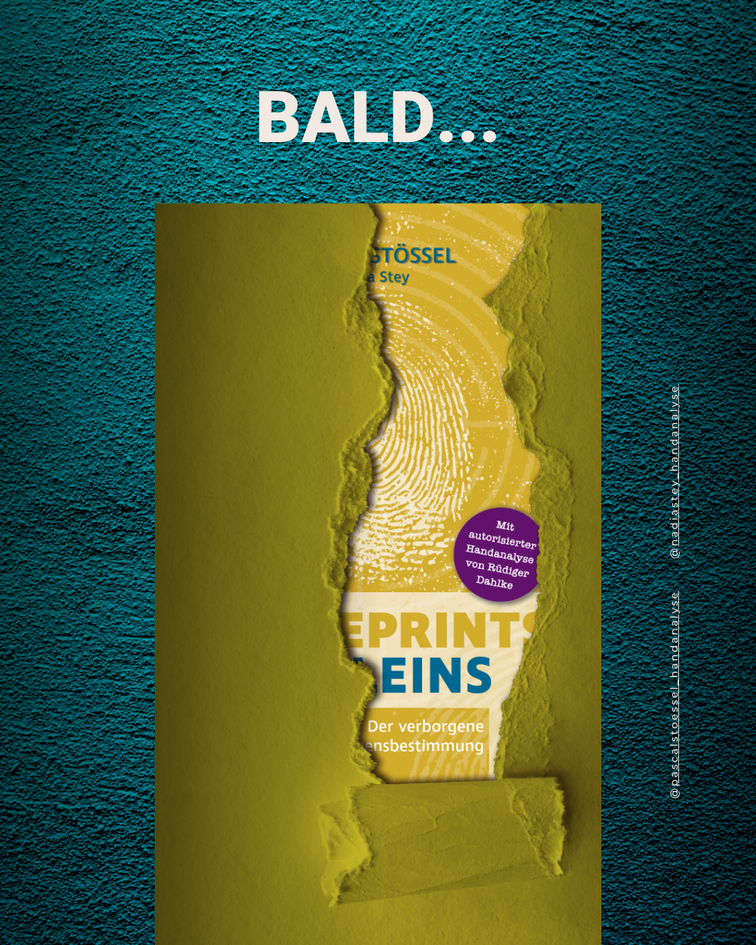 16 Bald.png