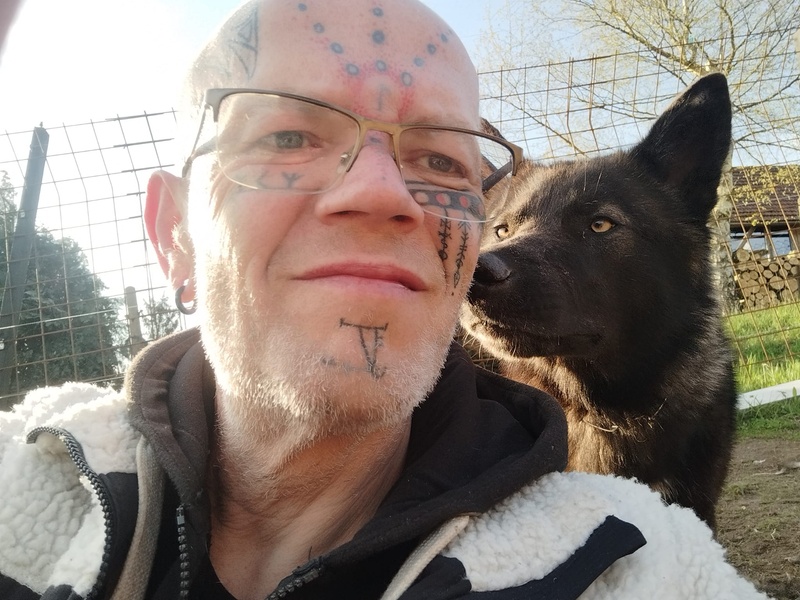 Bruce mit einem Wolfshybriden nach dem Bau des Geheges in Viernau