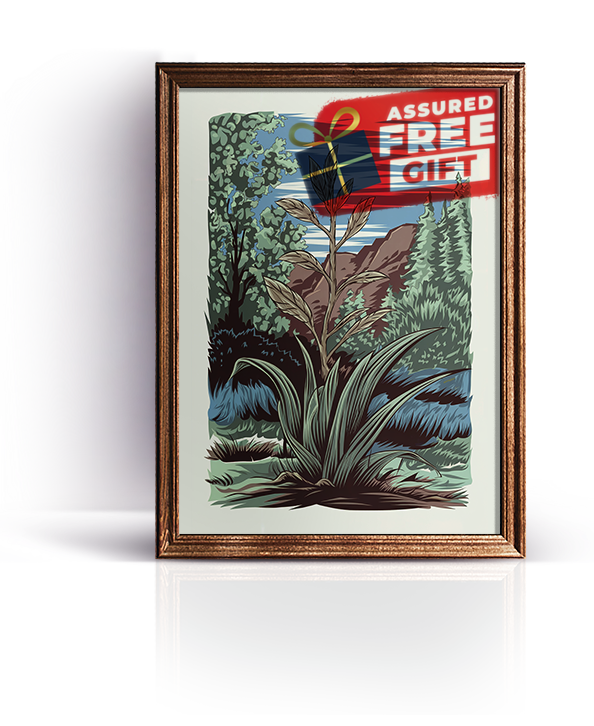 Newsletter Gift.png