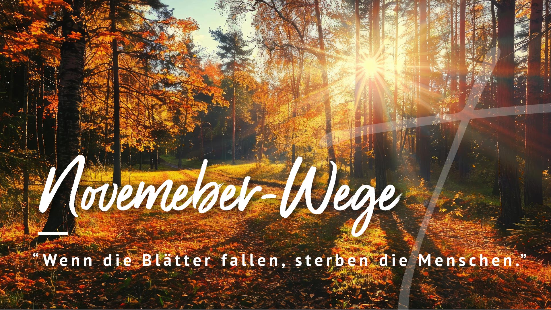 2024-11: NOVEMBER WEGE - Wenn Blätter fallen, sterben die Menschen