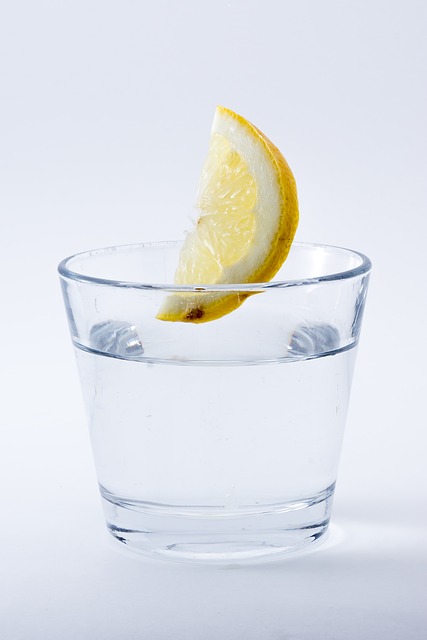 Ein Glas Wasser mit Zitrone