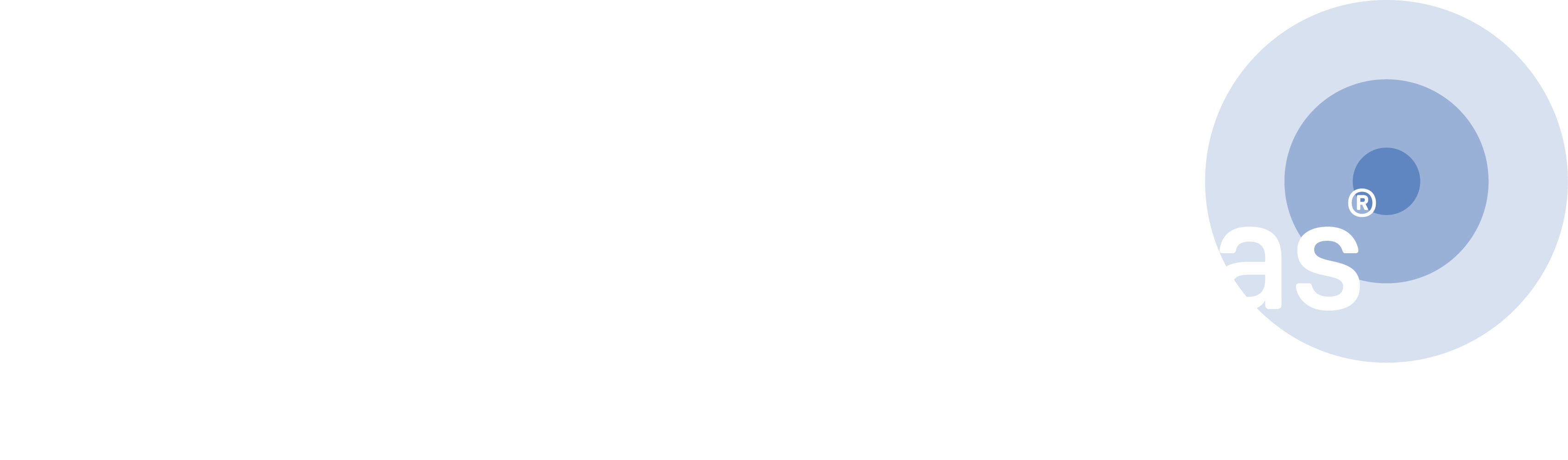 Digital Value Solutions Logo