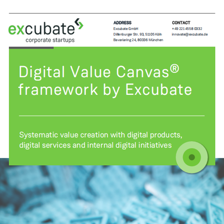 Digital value canvas framework