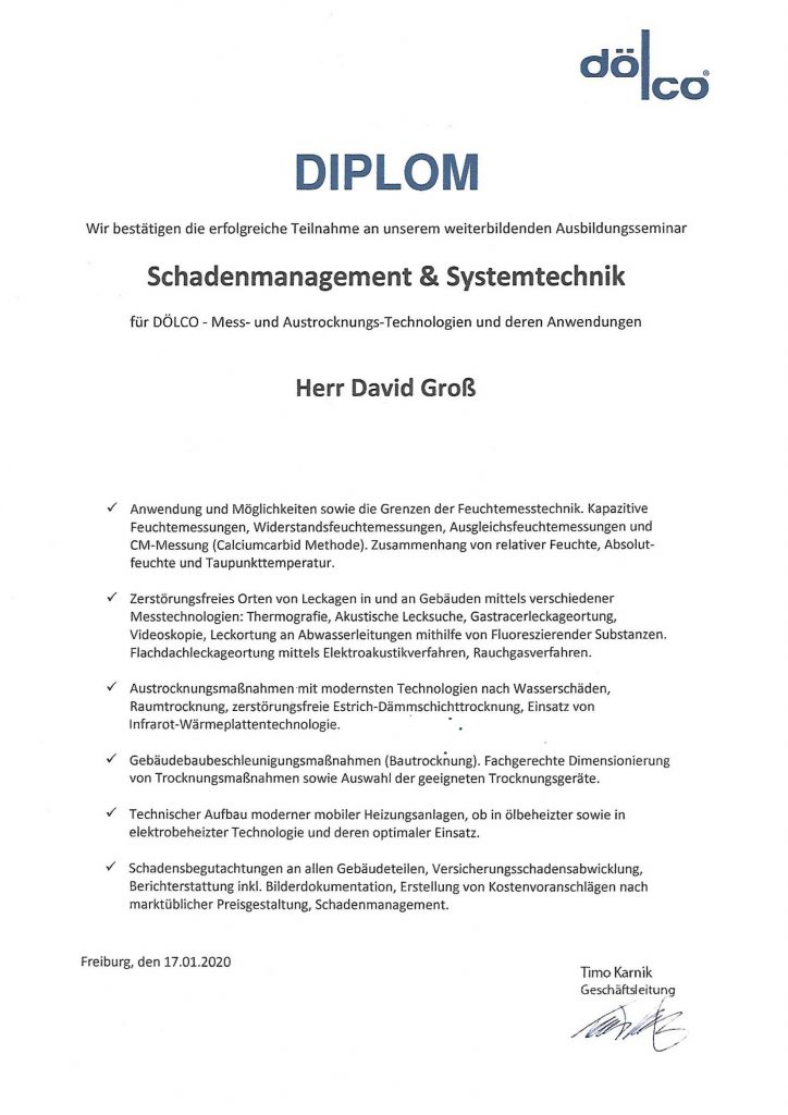 Diplom-David-Doelco_neu-724x1024.jpg