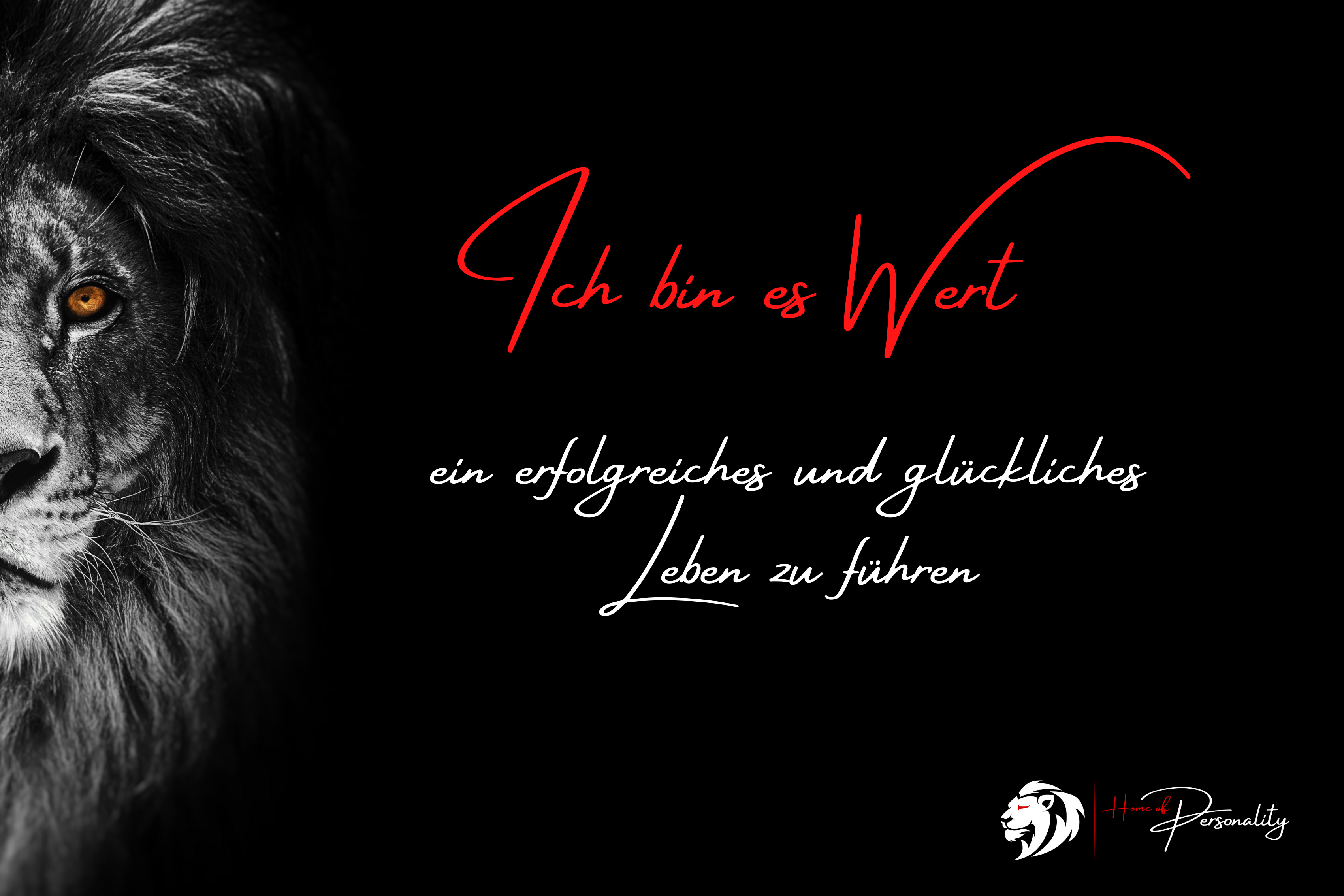 Kopie von 120x80.png
