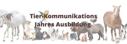 Tier-Kommunikation - Jahres Ausbildung