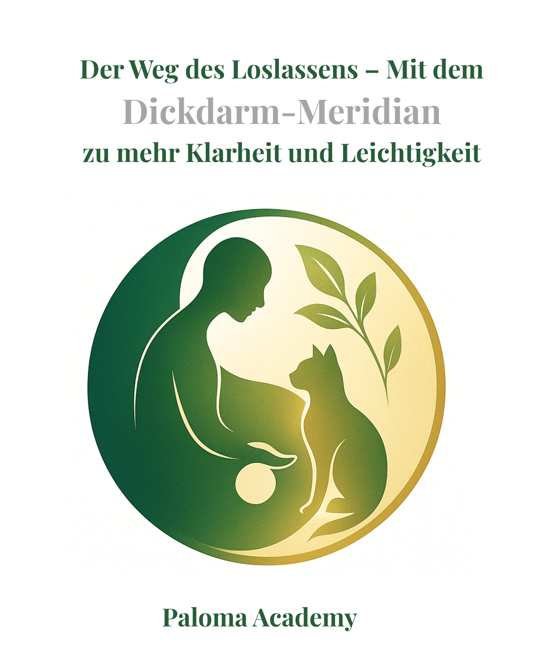 Dickdarm-Meridian Buchcover provisorisch.png