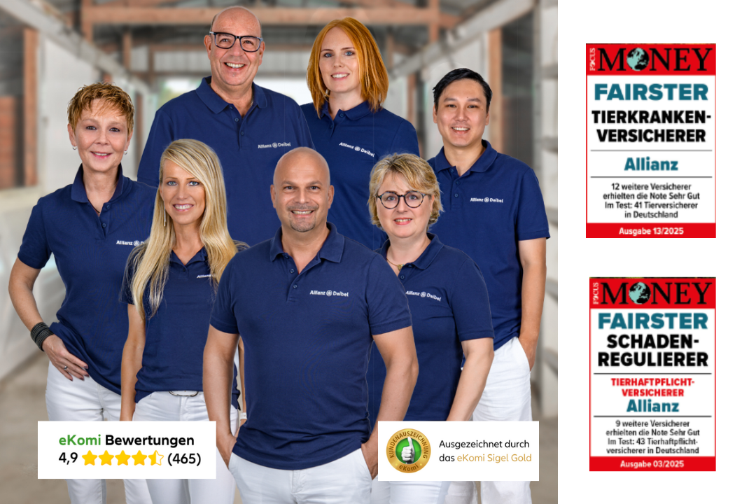 Bild querformat - 2025-05-12T165438.742.png