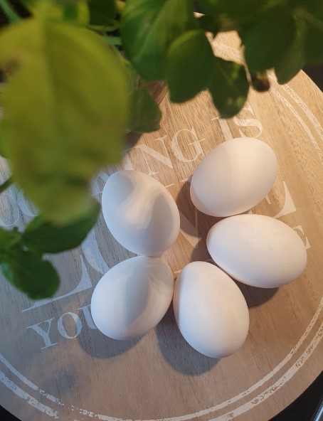Eier kcal – Wie viele Kalorien hat ein Ei?