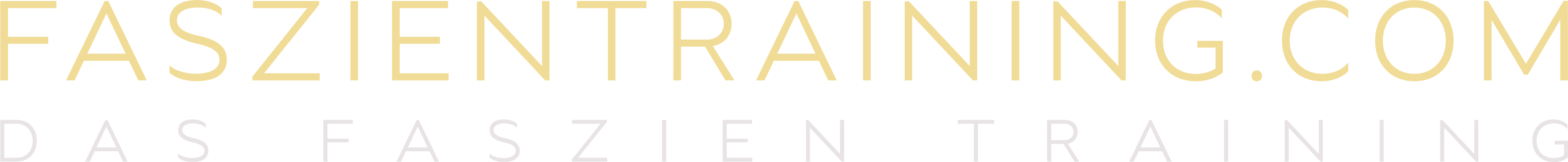 Faszientraining