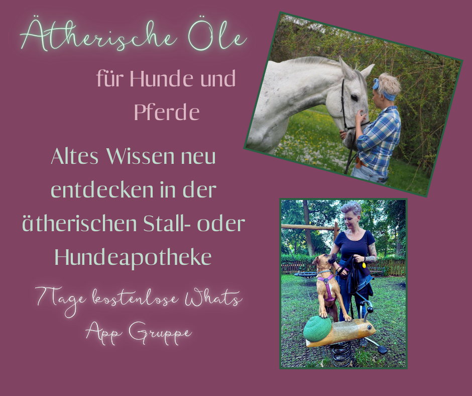 Ätherische Öle Bild.png