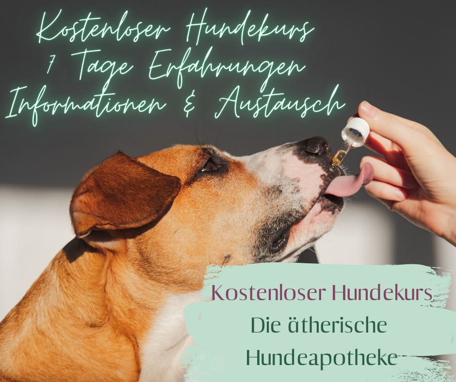 natürlich gesund für deinen Hund.png
