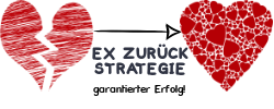 Das ist das Logo von Ex zurück Strategie