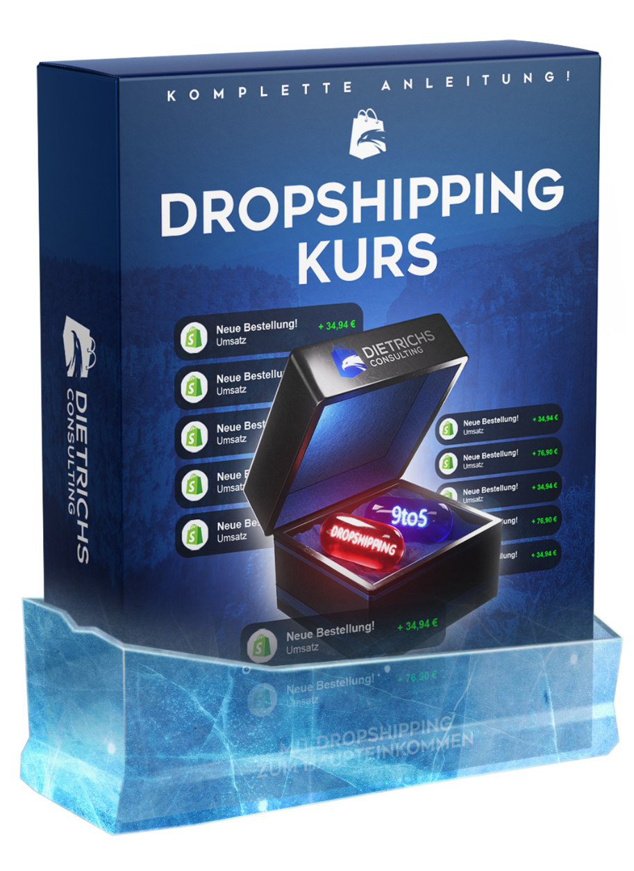 mik dietrichs kostenloser dropshipping kurs bester dropshipping coach bestes dropshipping coaching