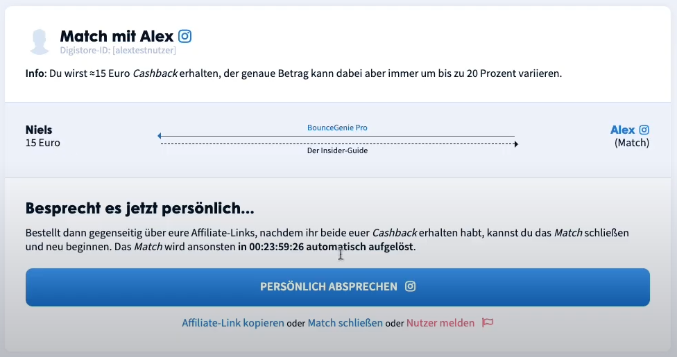 Screenshot der Matching-Seite, mit Beispiel für Produkt-IDs und Links