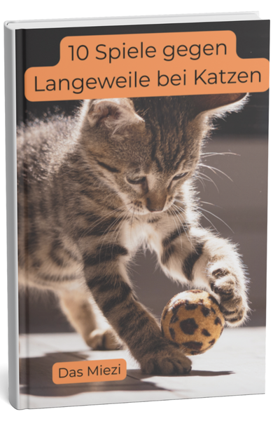 Langeweile LEadmagnet (1).png
