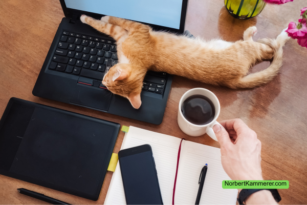 Katze im Homeoffice: Symbol für Ruhe, Freiheit und digitales Arbeiten