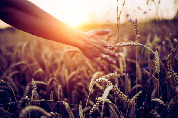 Mach es dir leicht – wie du im Sommer mit sanften Routinen dranbleibst