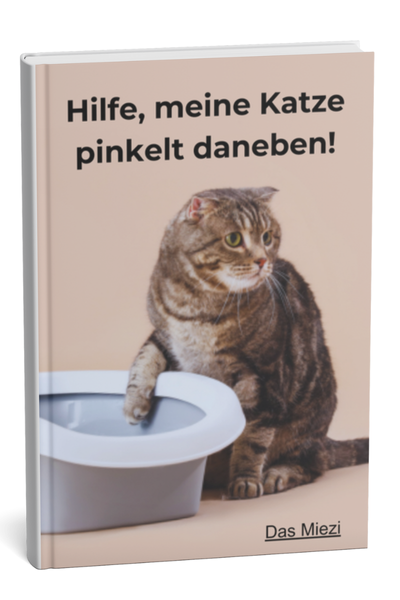 Kein Titel (600 x 400 px) (600 x 600 px) (400 x 600 px) (2).png