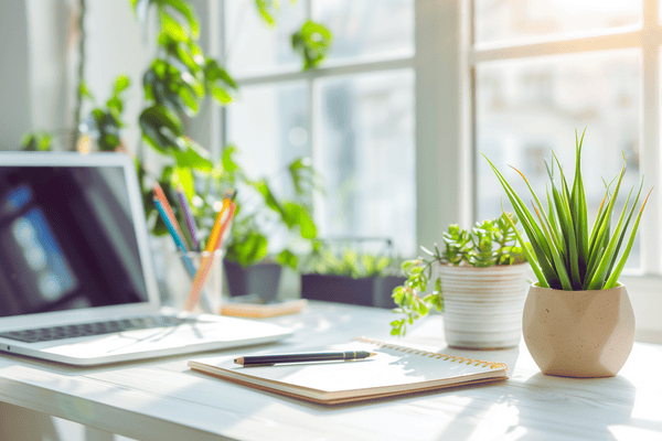 Design ohne Titel (12).png