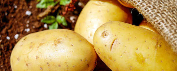 Nahaufnahme Kartoffeldiät - Ernährung-mit-System