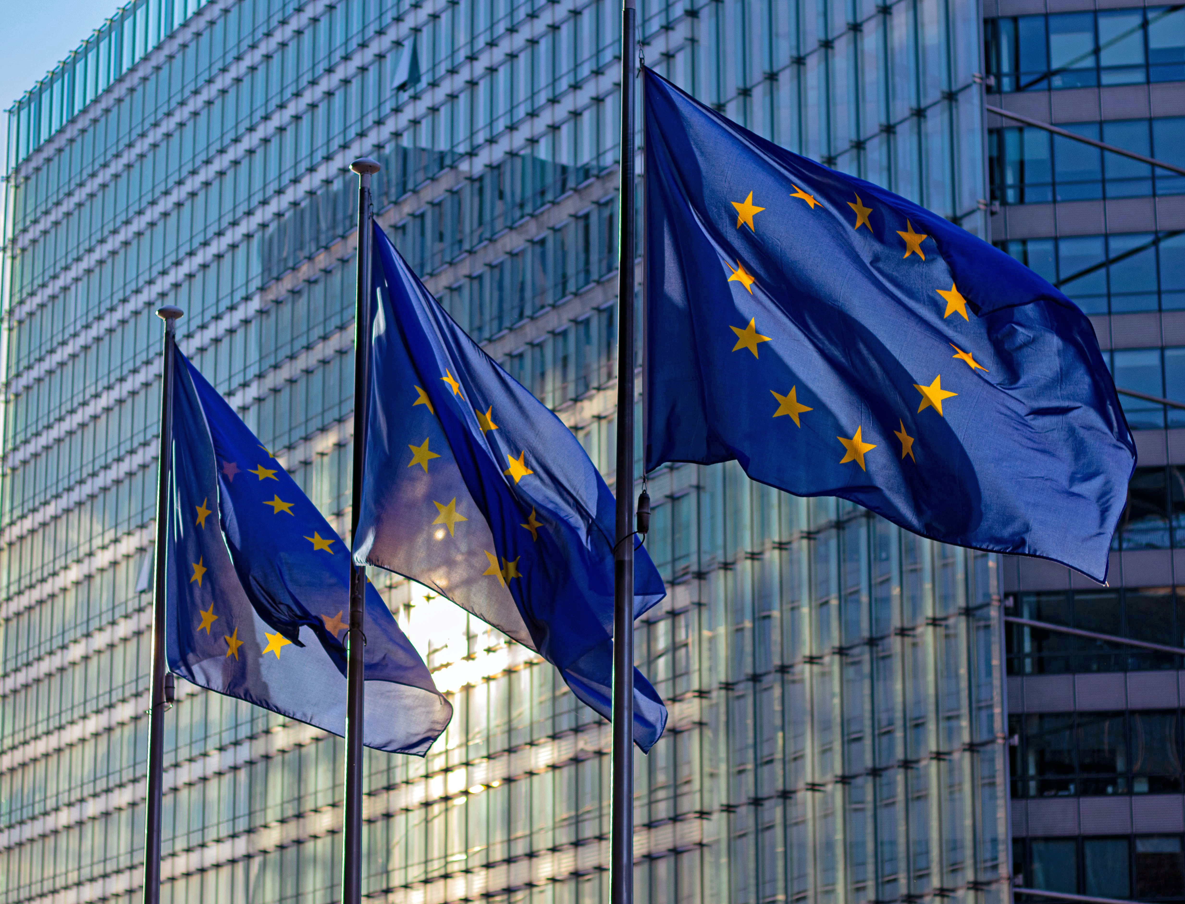 Änderung der Gesetzesbezeichnung im Rahmen des Digital Services Act (DSA)