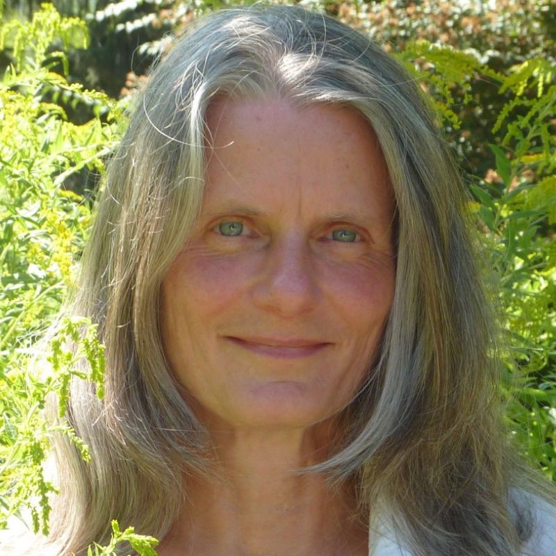 Heike König