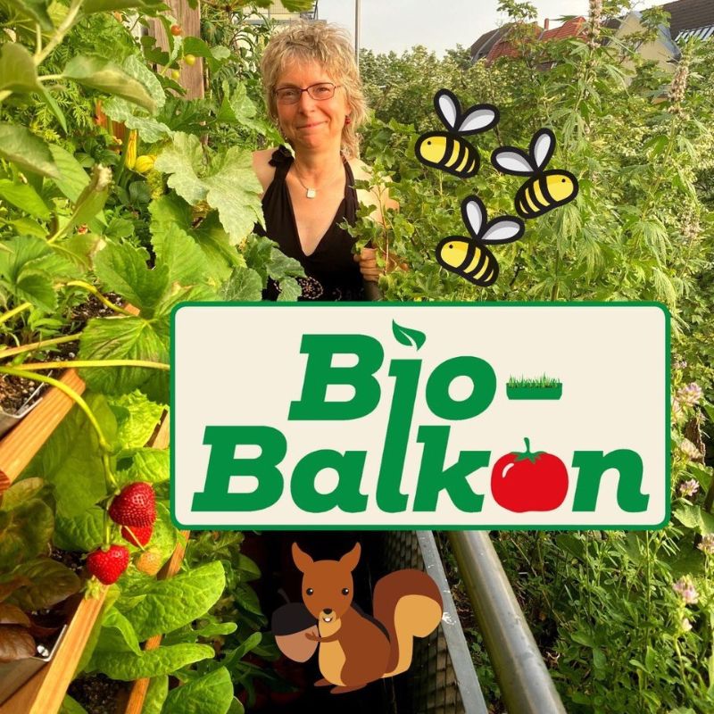 Birgit Schattling