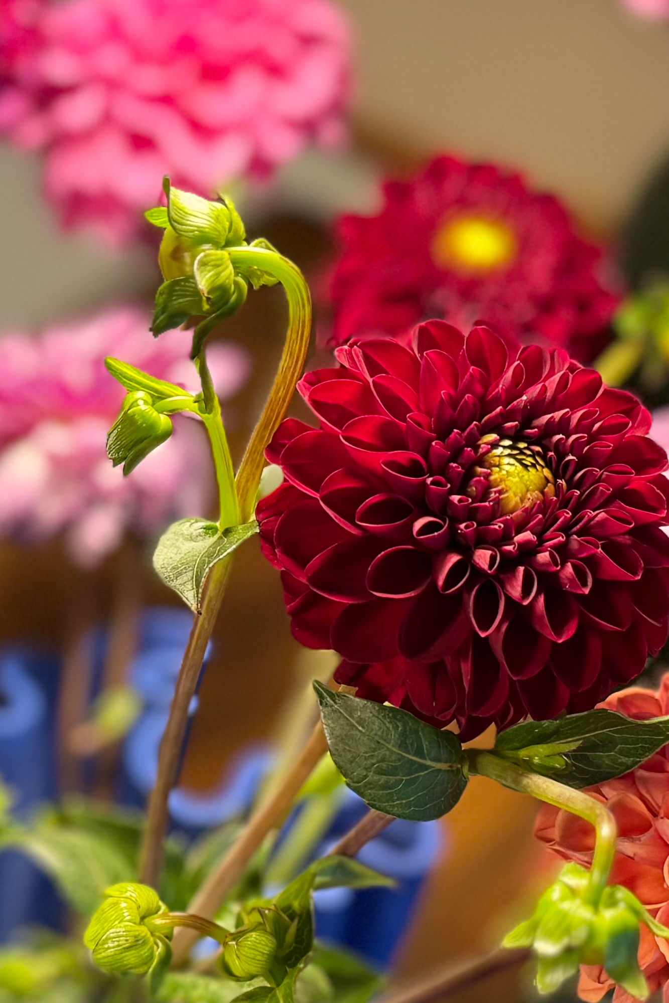 "Seit wir regelmäßig Blumen aufstellen, fühlt sich der Empfang einfach anders an…“