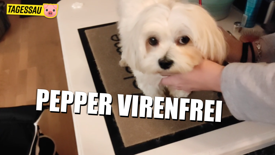 BLW 009 - BLOCKWART: Pepper virenfrei!