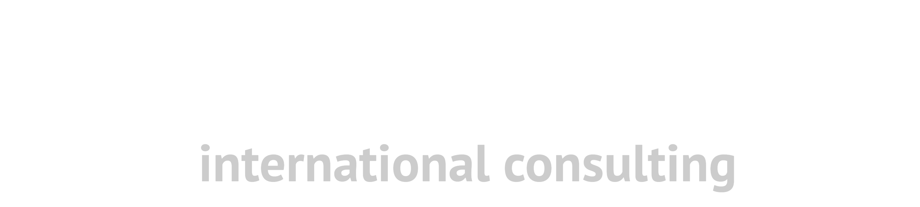 THE WELLINGTON CONSULTING LTD Logo