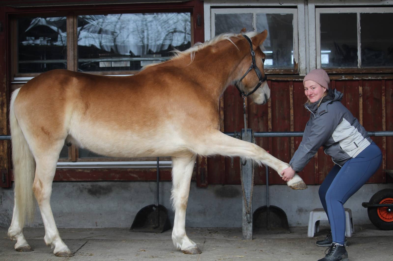 Melody Wicky Dehnung der Gliedmasse 