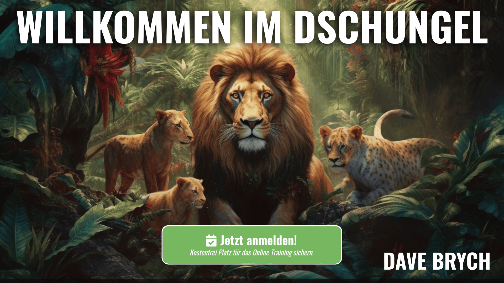Willkommen im Dschungel des Online Marketings!