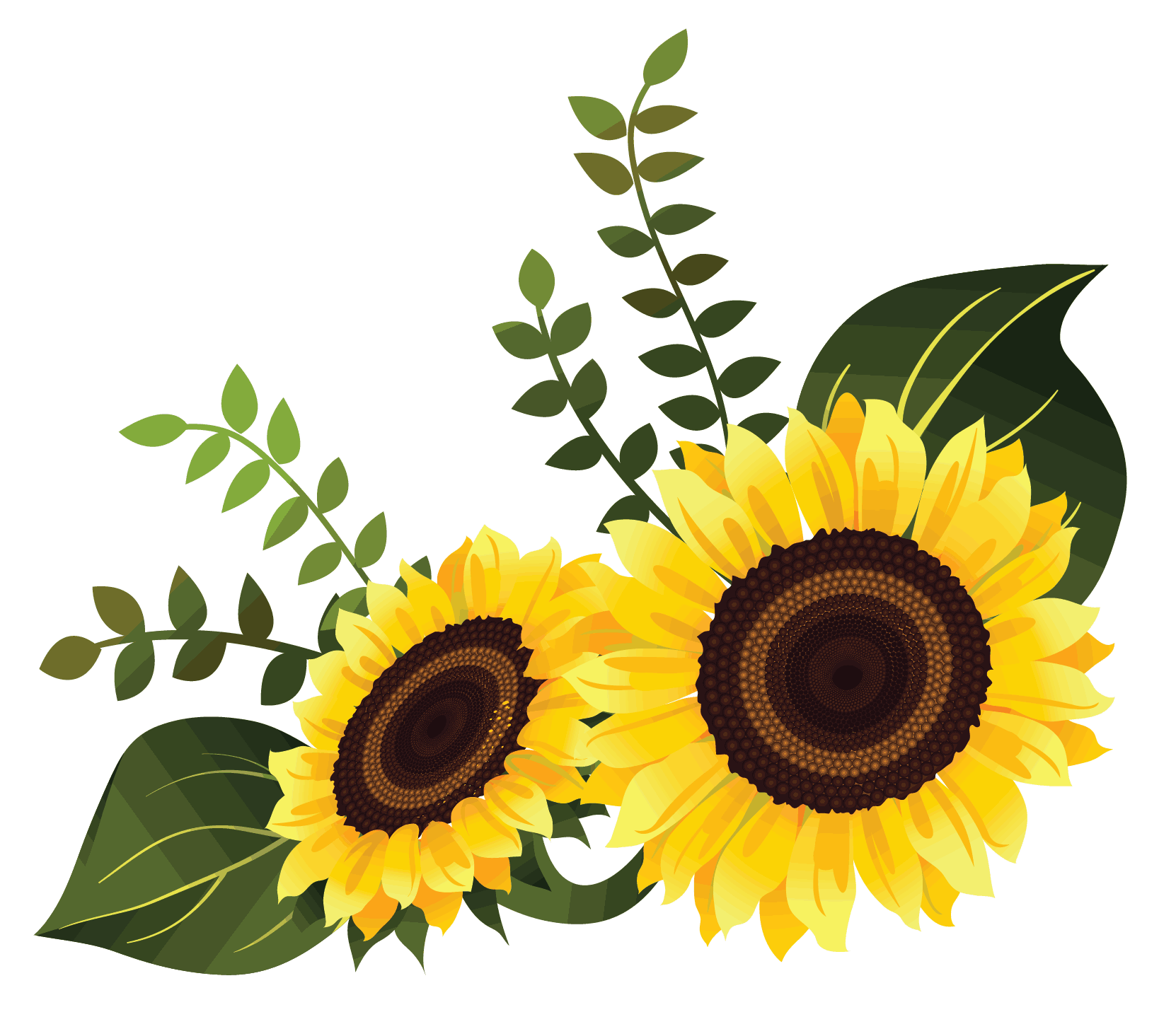 sonnenblume.png