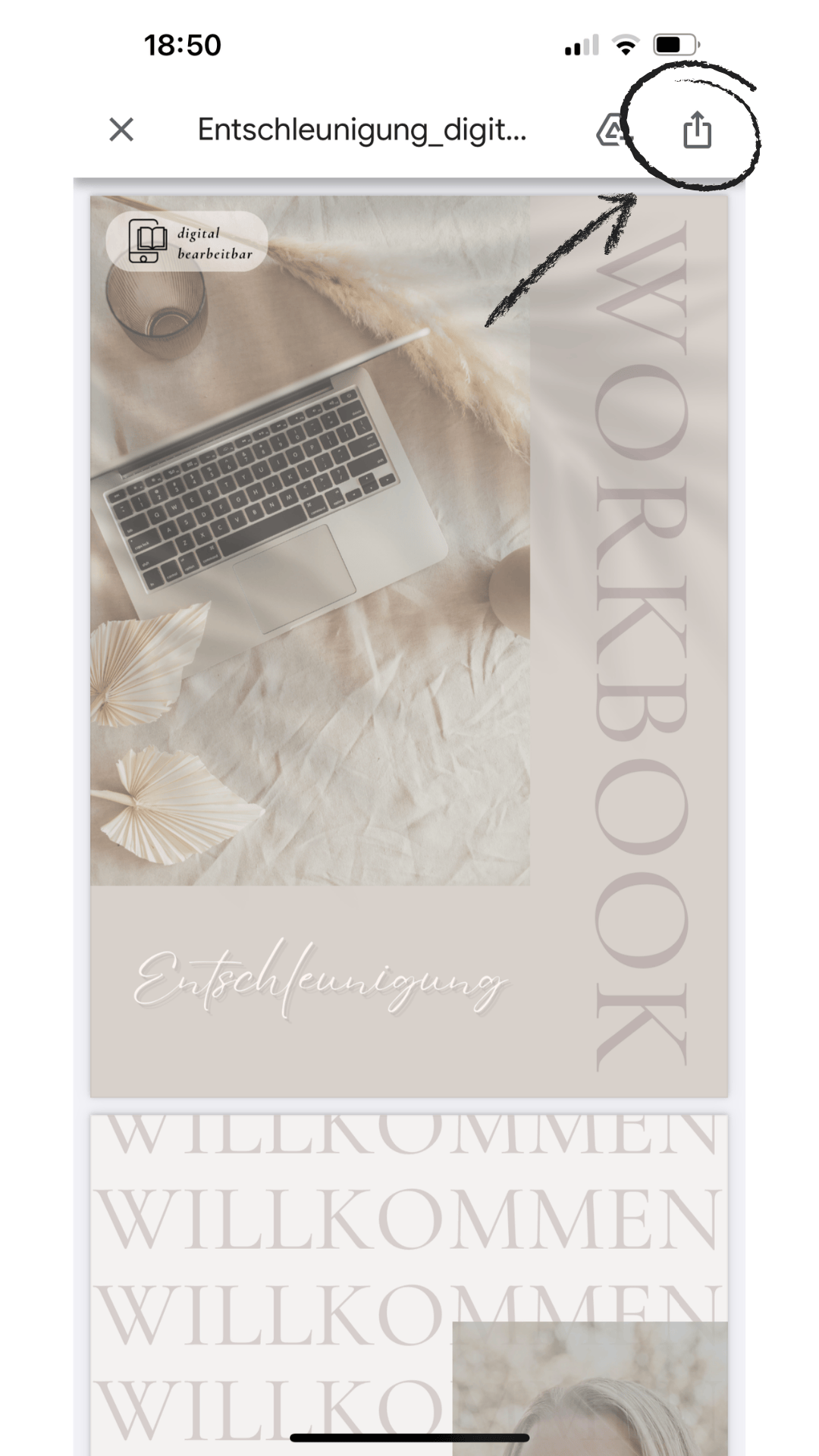 Design ohne Titel(3).png