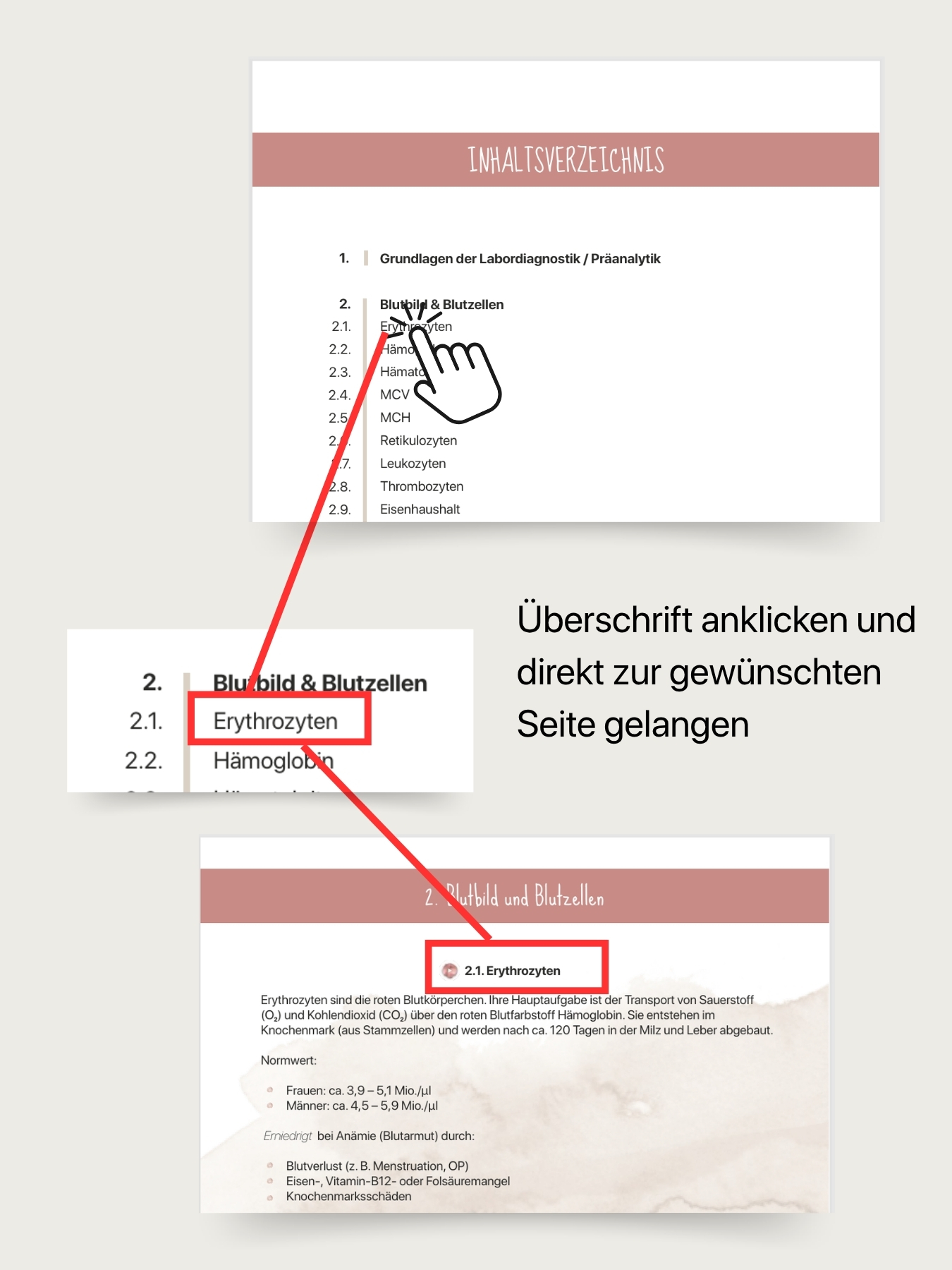 Anleitung: Über das Inhaltsverzeichnis direkt zur gewünschten Seite im Laborwerte-Guide springen