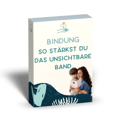 Box_Kurs_Bindung.png